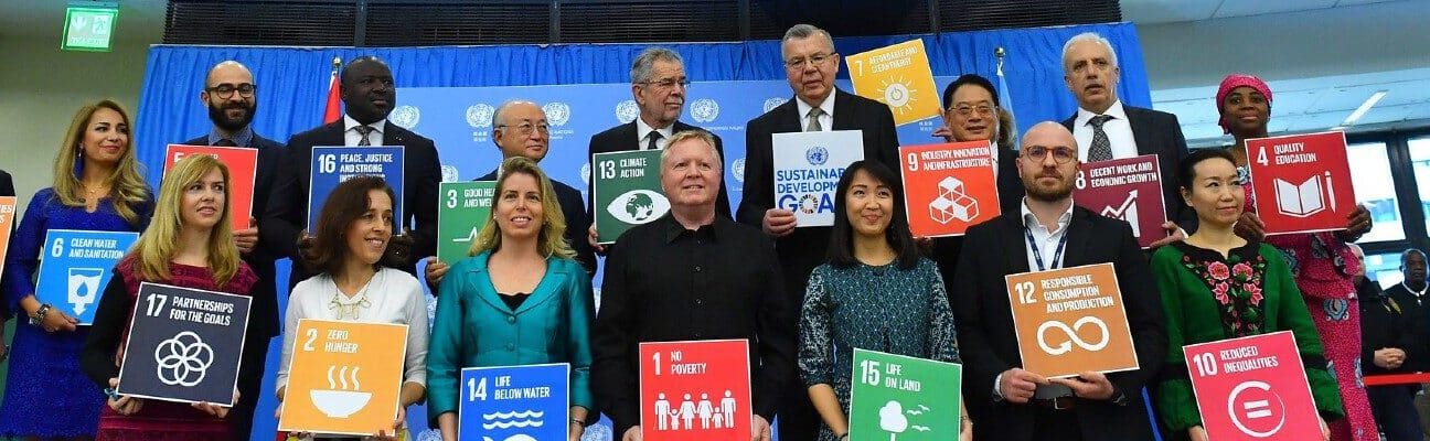 Group Photo with SDG Logos at a conference in Vienna