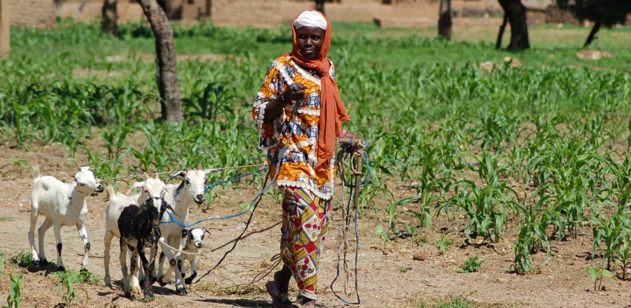Asseta Lompo with her goats in Burkina Faso