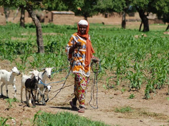 Asseta Lompo with her goats in Burkina Faso