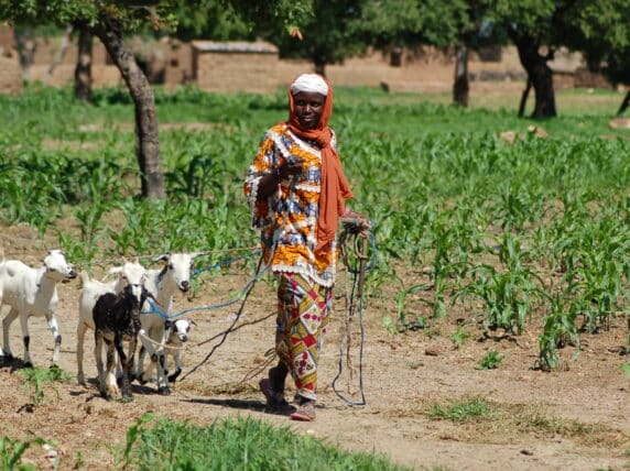 Asseta Lompo with her goats in Burkina Faso