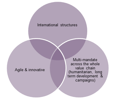 Venn diagram of the trilemma facing big INGOs