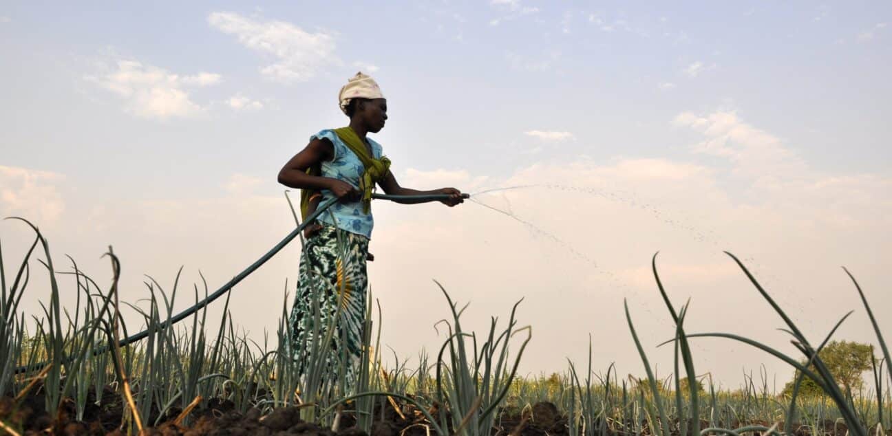 A women watering crops