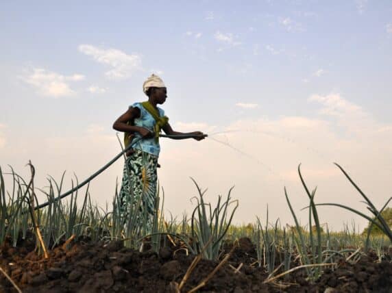 A women watering crops