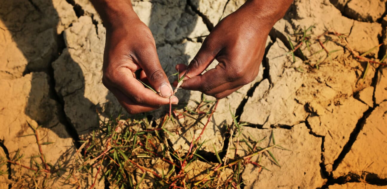 Man examines desert land for farming