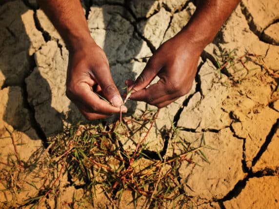 Man examines desert land for farming