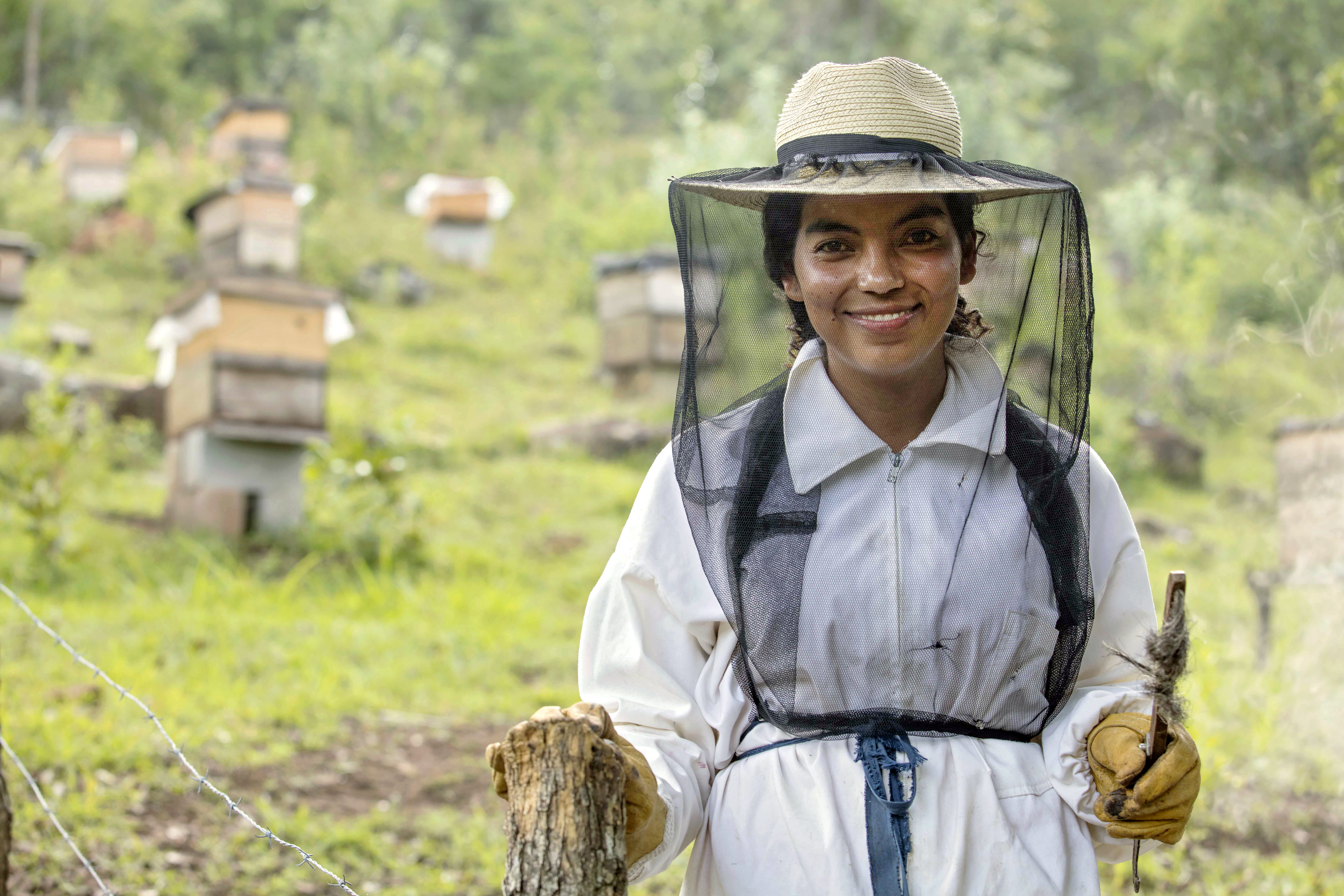 Bee keeper in Guatemala
