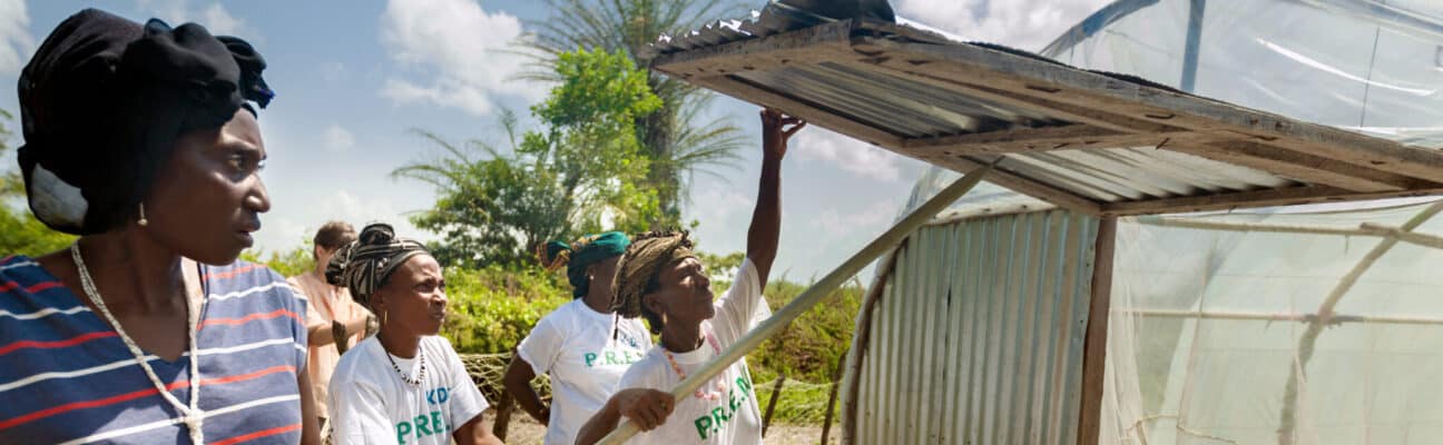 Women opening a greenhouse in Guinea
