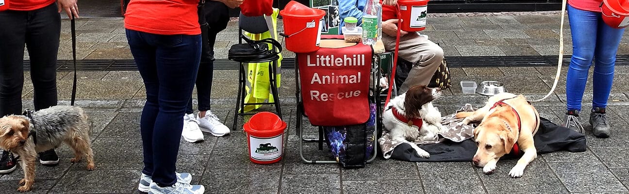 People fundraising in the UK before Covid-19