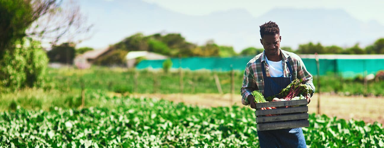 A young farmer collects his produce