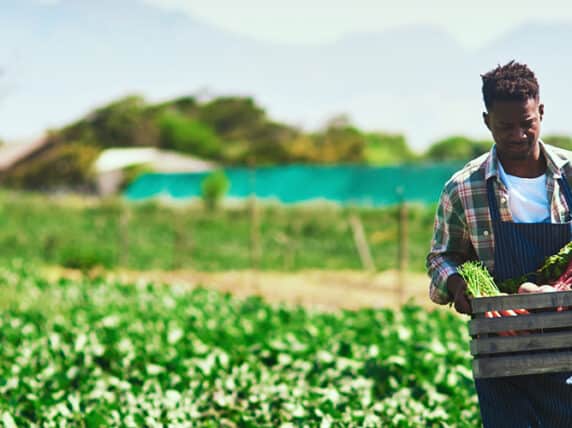 A young farmer collects his produce