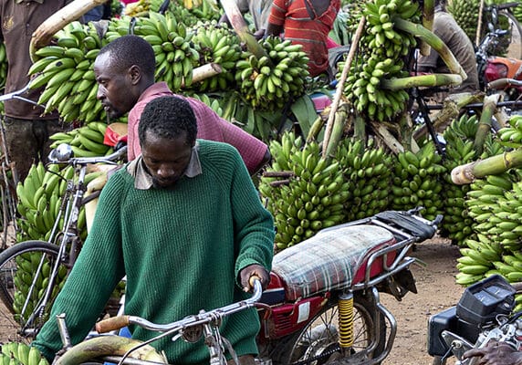 A banana market in Kitwa, Uganda