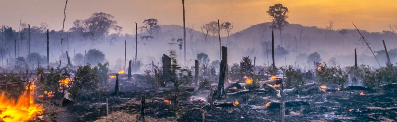 Deforestation fire in the Amazon