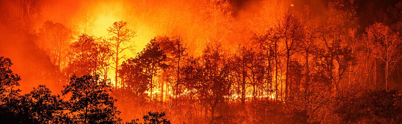 Forest fire wildfire at night time on the mountain with big smoke in Chiang Mai, Thailand