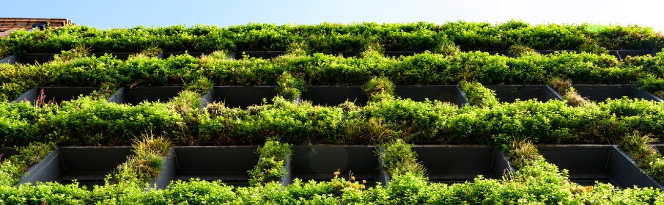 Vertical garden on an office building