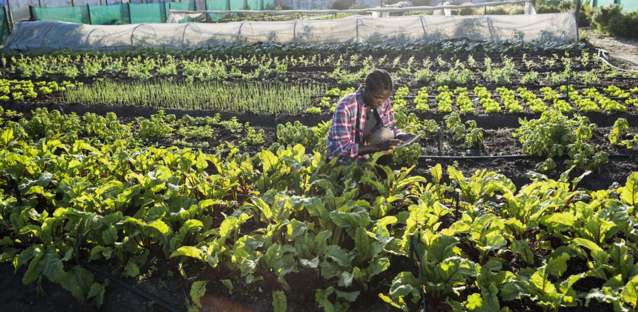 Woman growing food