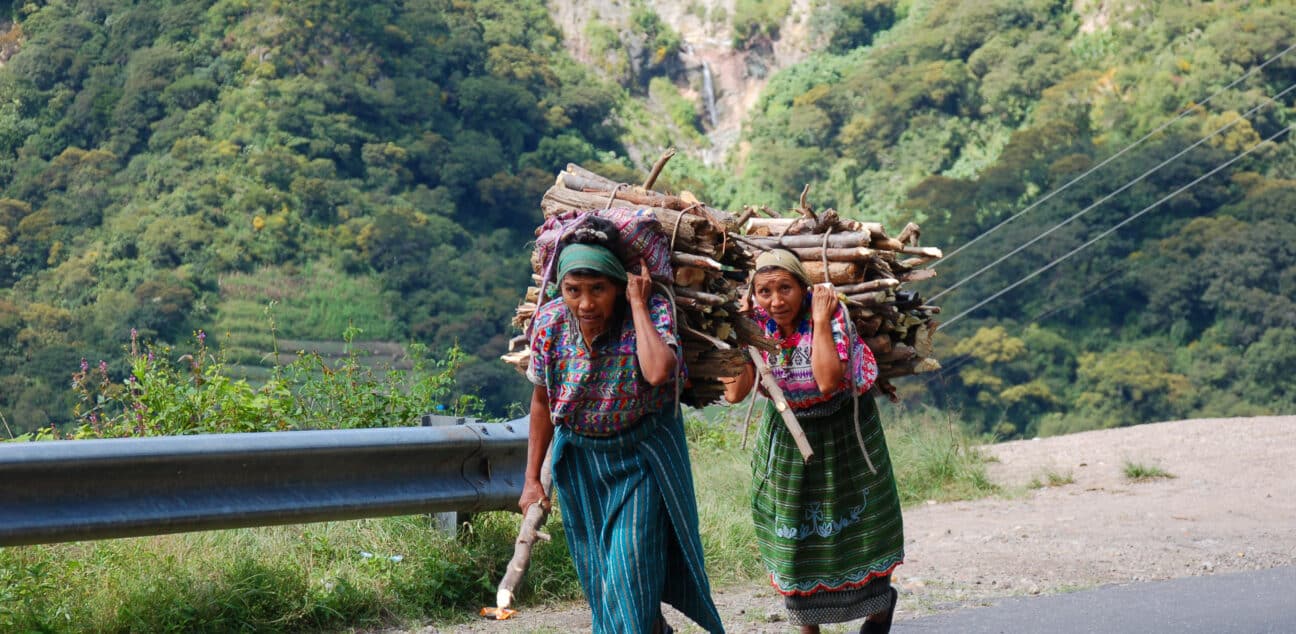 Women carrying wood up a hill on their backs