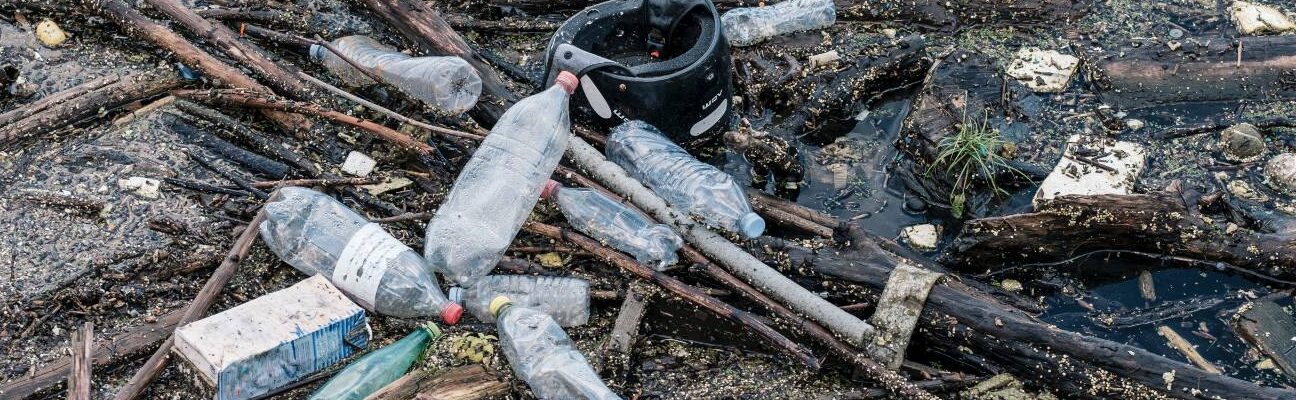 Plastic bottles amid wood and other waste