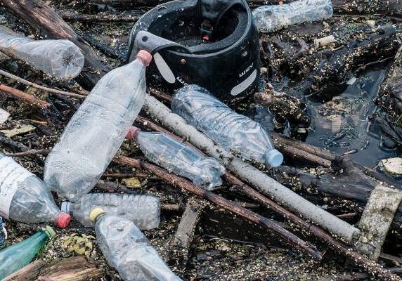 Plastic bottles amid wood and other waste