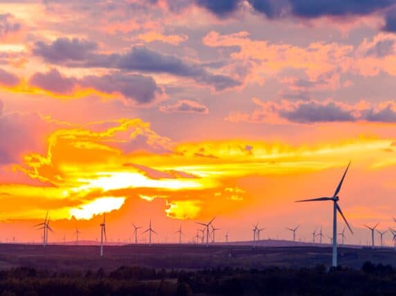 windmill farm at sunset