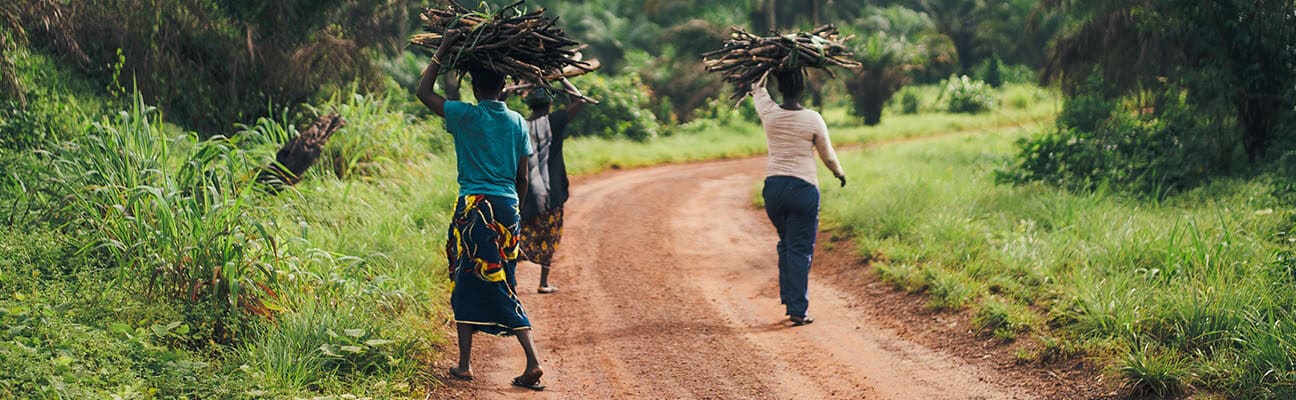 Women collecting wood in Sierra Leone