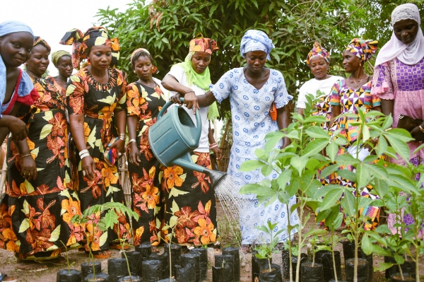 A women's group working together in Senegal