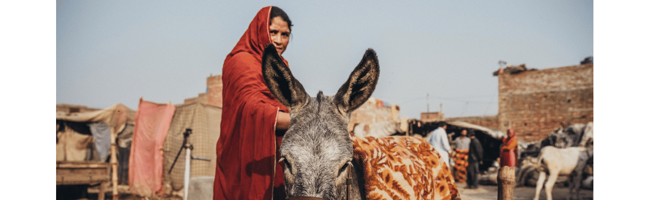 We can only transform the lives of animals and people with systemic change | Bond We can only transform the lives of animals and people with systemic change | Bond