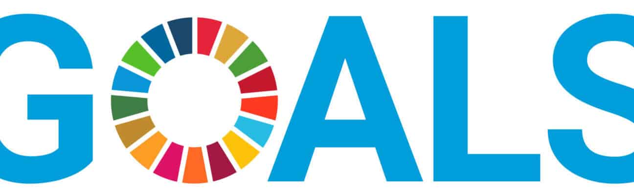 SDG logo