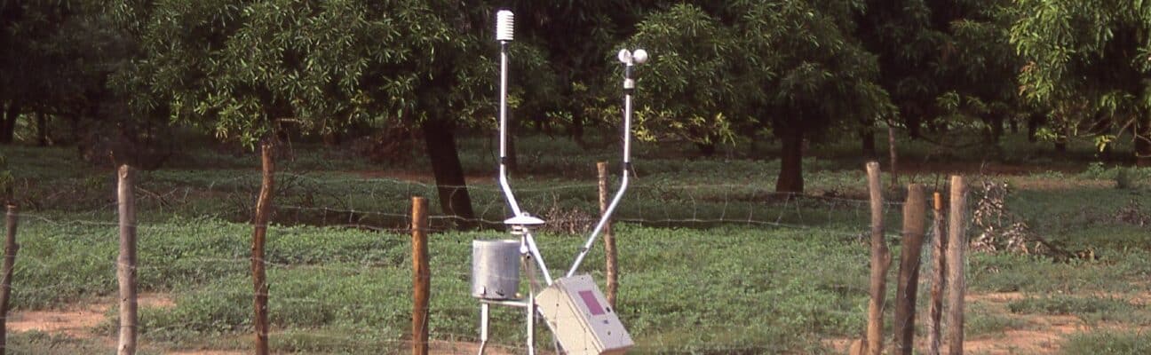 Satellite-linked rain gauge and weather station in a mango orchard in Burkina Faso, West Africa