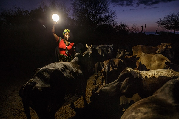 Farming by torch light