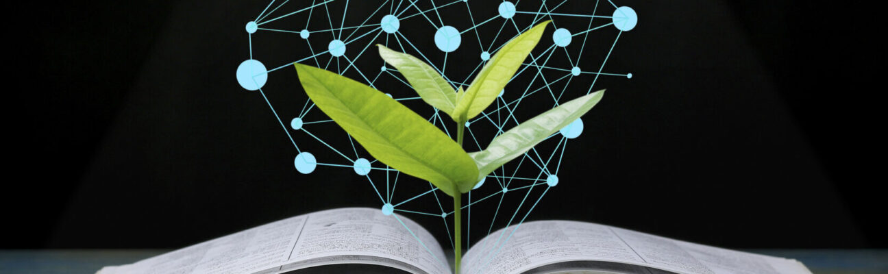 tree growing up from book with light shining as getting knowledge on black background, concept as opening paper will see knowledge of the world, learning by yourself and improve your life everywhere