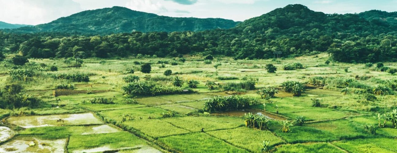 Rural landscape in Malawi, Africa