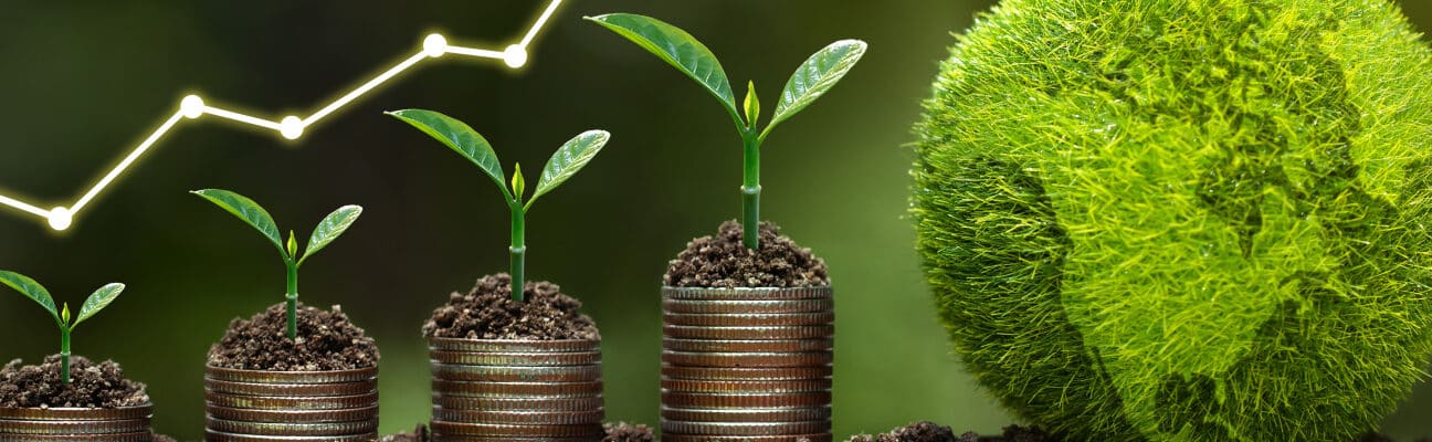 Light bulb is located on soil. plants grow on stacked coins