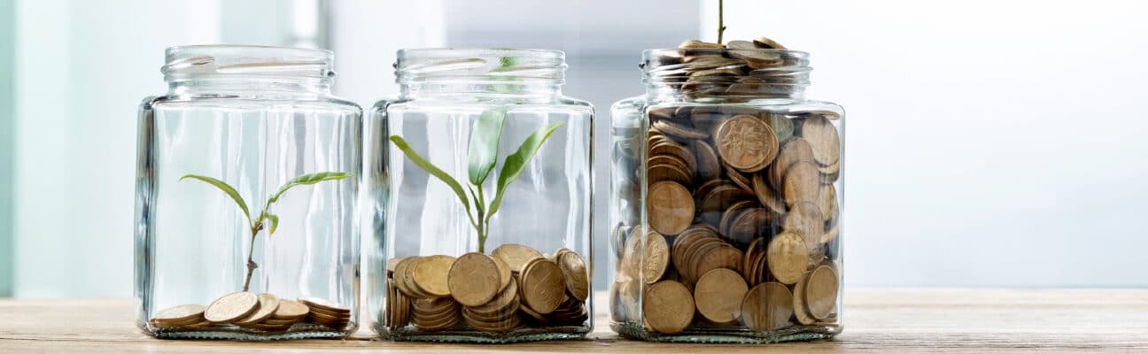 Woman putting a coin in jars with plants. Credit: baona