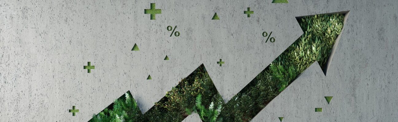 Arrow representing growth