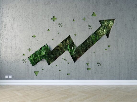 Arrow showing growth