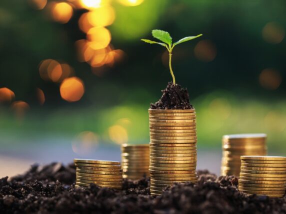 Plant growing from a stack of money symbolising the power of a healthy loan
