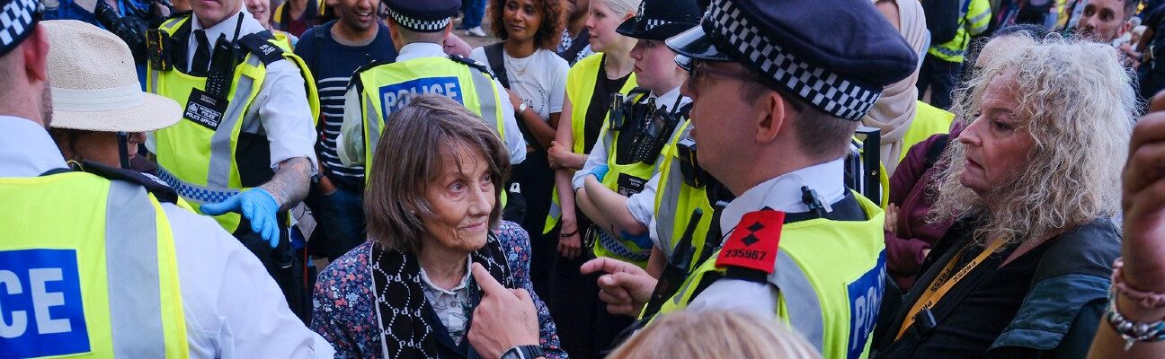 Protester against genocide in Gaza arrested in central London. Credit: Alisdare Hickson