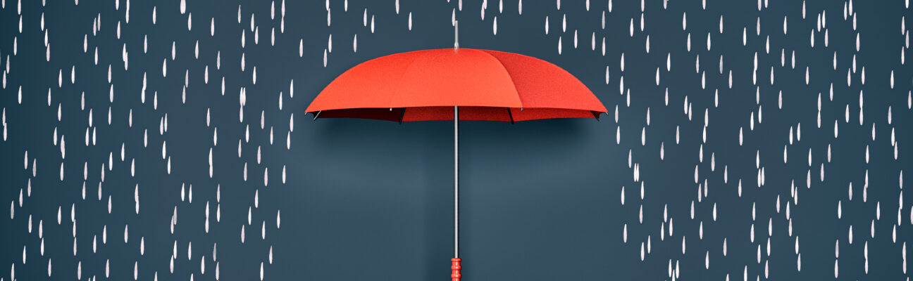 Concept of safeguarding. Credit: lucadp